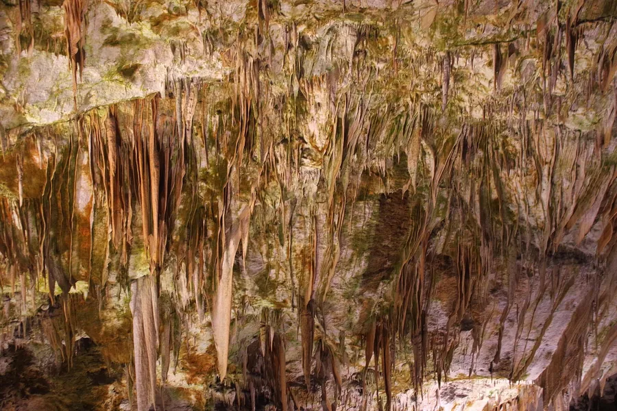 Postojna Cave stalactite chamber