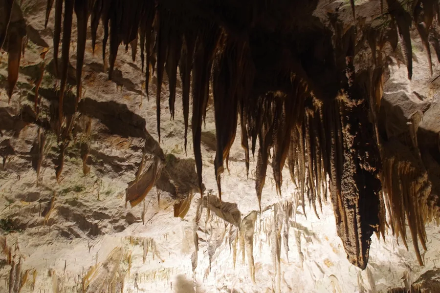 Postojna Cave stalactite chamber